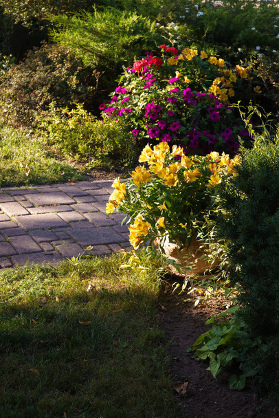 her iki tarafta çiçek kapları ile güneşli arnavut kaldırımlı yol, ön planda sarı çiçekler ve arka mor, kırmızı ve sarı - Fotoğraf, Görsel