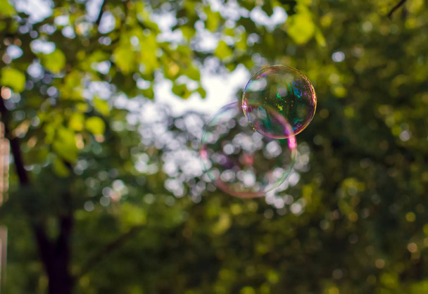Dos burbujas de jabón translúcidas de colores flotando al aire libre en la tarde soleada con árboles y cielo en el fondo. Fondo de la naturaleza con burbujas de jabón primer plano. Imagen de ensueño suave
. - Foto, Imagen