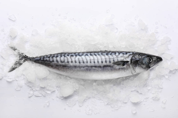 Surowe ryby makreli z lodem na białym tle - Zdjęcie, obraz