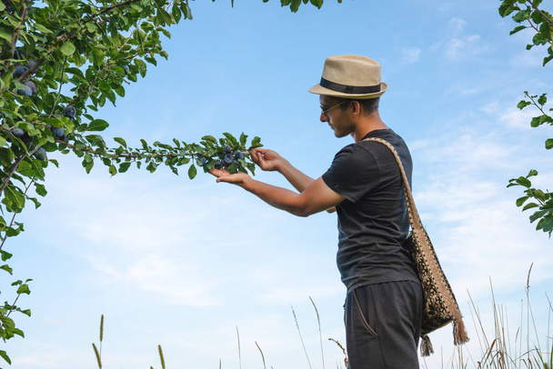 Pohled na boční fotografii mladého muže v klobouku a slunečních brýlích s národním taškou, který se nachází blízko švestkových stromů a držící větev v jedné ruce s otevřenou palmou, modrou oblohou na pozadí - Fotografie, Obrázek