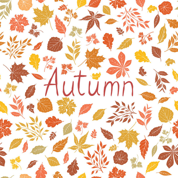 Autumn leaves pattern. Fall leaf card. Autumnal nature floral icons over white background with lettering Autumn. - Vector, Imagen