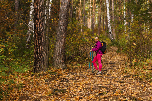 秋の森でトレッキングする女性 - 写真・画像