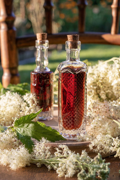 Herbal tincture with fresh blooming meadowsweet plant - Photo, Image