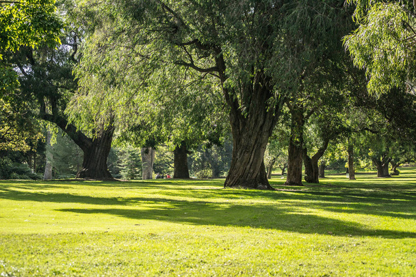 Paisagem de Kings Park, verde e cena da natureza
 - Foto, Imagem