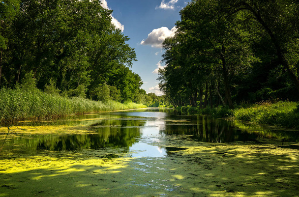 небольшая река в ландшафтной зоне в Бранденбурге, Германия
 - Фото, изображение
