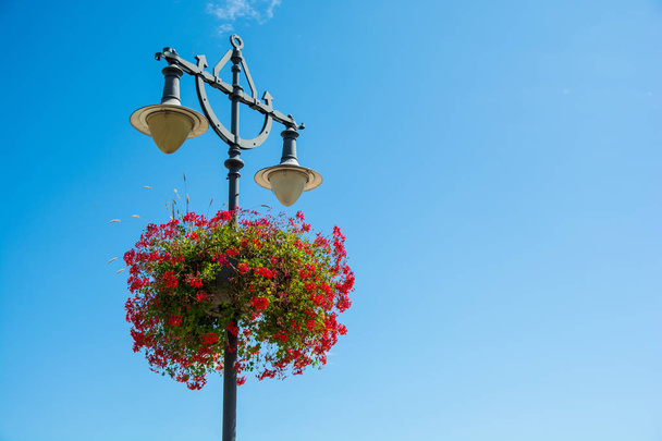 Beautiful red flowers in a hanging basket on a lamp post. - Photo, Image