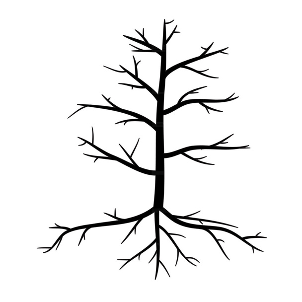 Árvores com ramos mortos e raízes
 - Vetor, Imagem