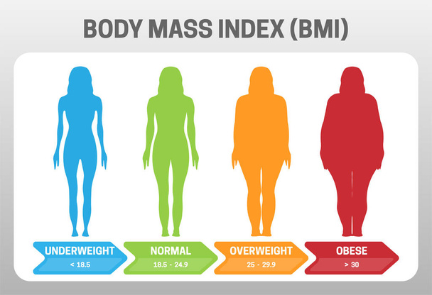 BMI Body Mass Index Vector Illustration with Woman Silhouette from Underweight to Obese. Obesity degrees with different weight. - Vector, Image