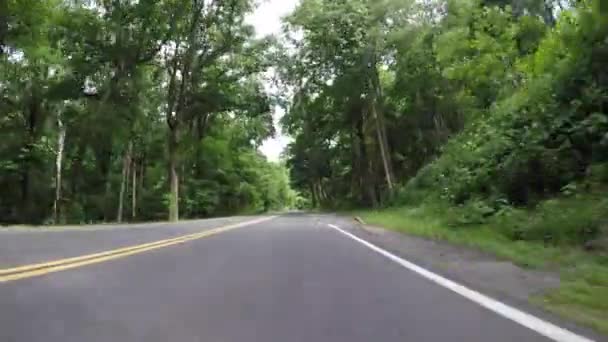 Straightaway Through Forest in the Smoky Mountains - Footage, Video