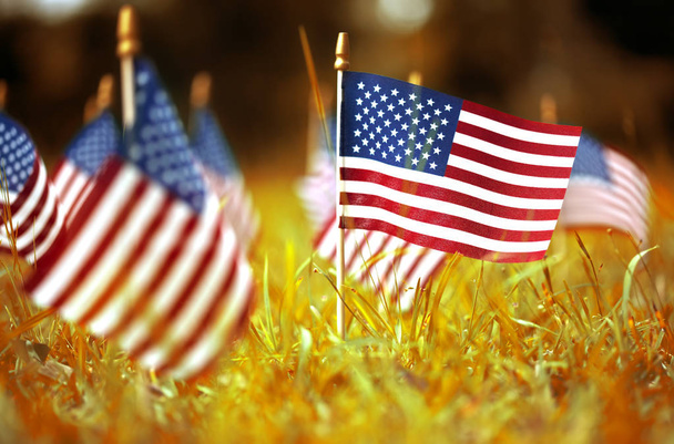 Группа американских флагов в желтой и оранжевой осенней траве
 - Фото, изображение