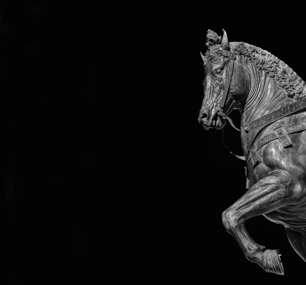 Αναγέννηση πολέμου άγαλμα αλόγου - Φωτογραφία, εικόνα