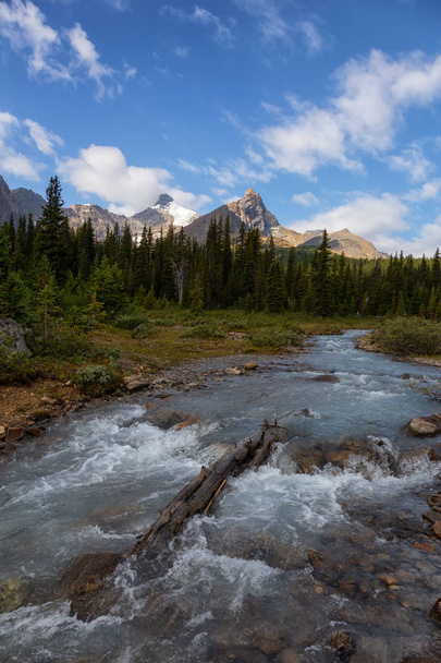 Льодовикова річка тече в красивих канадських Скелястих горах протягом сонячного літнього дня. Взято в Національний парк Джаспер, Альберта, Канада. - Фото, зображення
