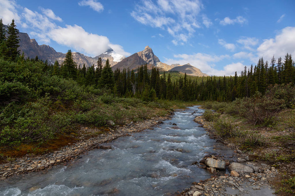Glacier River Flowing in the beautiful Canadian Rockies during a sunny summer day. Taken in Jasper National Park, Alberta, Canada. - Foto, Bild
