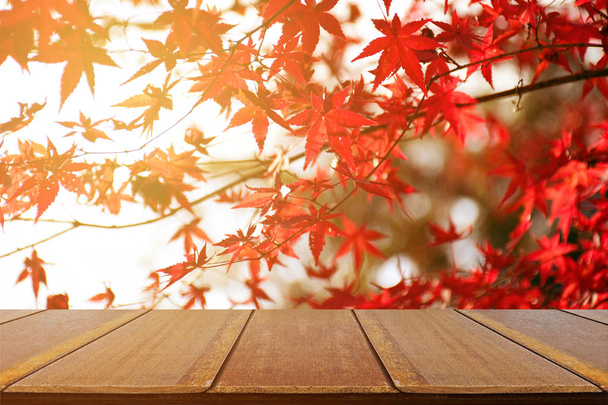 Picnic table with Japanese maple tree garden in autumn. - Photo, Image