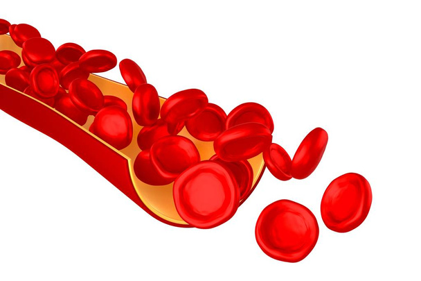 3D žíla, červené krvinky-izolované na bílém pozadí - Fotografie, Obrázek