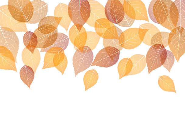 Осіннє листя кленового осіннього фону
 - Вектор, зображення