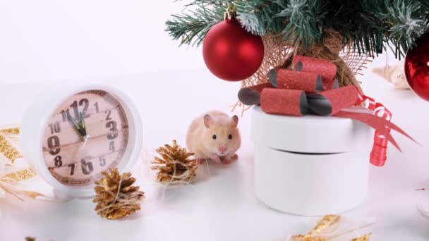 Bonne année. Le symbole du Nouvel An 2020 est un rat blanc ou métallique argenté
 - Séquence, vidéo