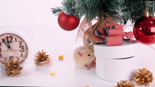 Šťastný nový rok 2020. Vánoční skladba s krysou, symbol roku. Krysa v blízkosti vánočního stromu, dárkových krabic a hodinek. - Záběry, video