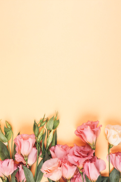 Frisse mooie Eustoma op een witte achtergrond - Foto, afbeelding