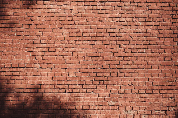 Mur de briques sur lequel les ombres des feuilles d'arbre
. - Photo, image