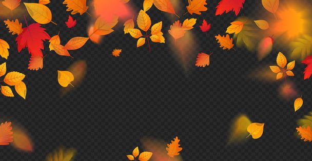 オレンジの秋カラフルな葉が落下効果を飛ぶ. - ベクター画像