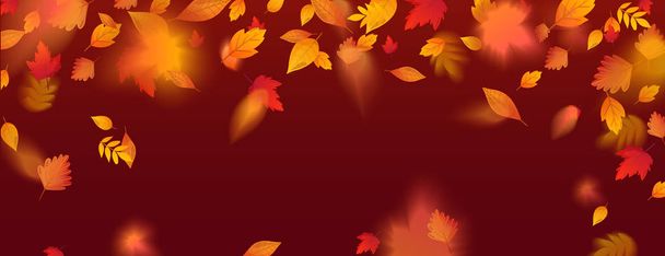 Oranje Fall kleurrijke bladeren vliegen vallende effect. - Vector, afbeelding