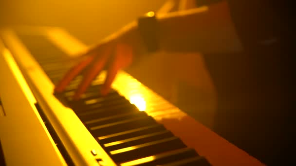 Le musicien joue du clavier
 - Séquence, vidéo