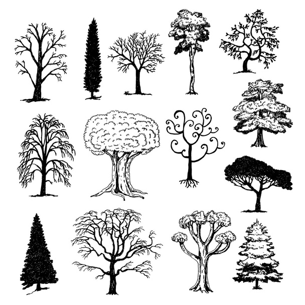 Hand Drawn Trees - Vector, Image
