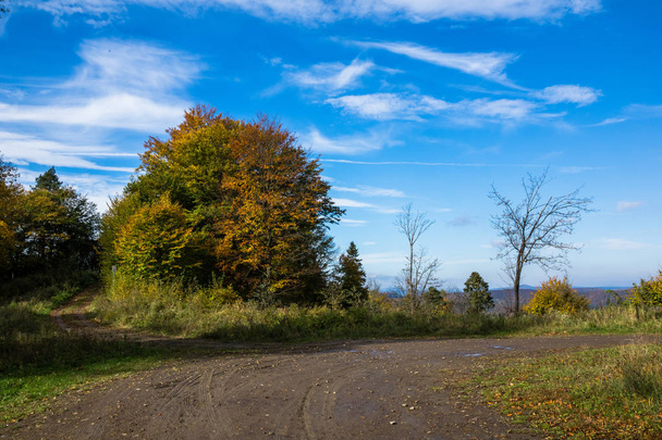 Road near lake Solinskie in autumn in Solina, Bieszczady, Poland - Фото, изображение