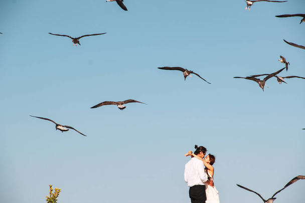 Lovely couple hugging on the roof with seagull background at Bosphorus - Foto, afbeelding