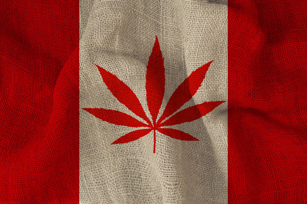 green leaf of cannabis and the beautiful national flag of Canada, the concept of medical cannabis, legalization of drugs, drug trafficking crimes, close-up - Photo, image