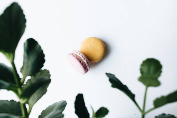 composition of delicious macaroons on white background  - Foto, Imagem