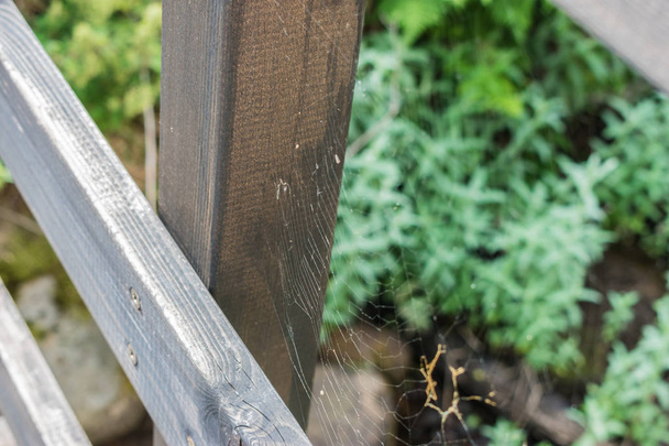 tela de araña en el puente de madera sobre el río
 - Foto, Imagen