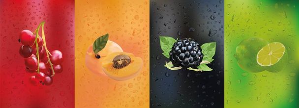 Juice with red currant berry, blackberry, apricot, lime. Collection 3D realistic fruit. Dew drops in motion. Fresh fruis close up with drops. Beautiful vector illustration. - Vector, Image