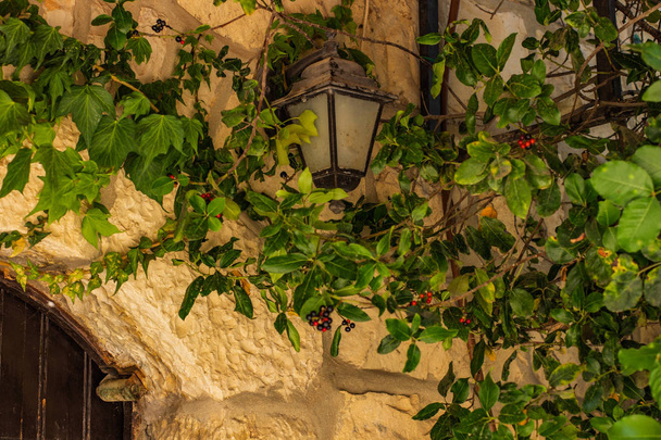 tuin residentie middeleeuwse werf met kleine hangende lantaarn Landscaping exterieur decoratie object  - Foto, afbeelding