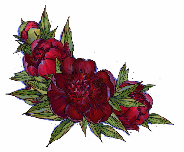 Cute red peonies wreath on white background - Foto, afbeelding