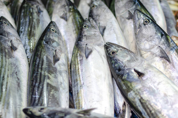 Čerstvé ryby ležící v podnosu na trhu za účelem prodeje - Fotografie, Obrázek