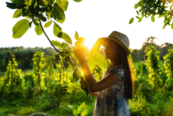 Hispanic teen girl in white hat and dress holding branch in hand and looking at leaves, spending summer holidays in the garden, sunset on the background - Photo, Image