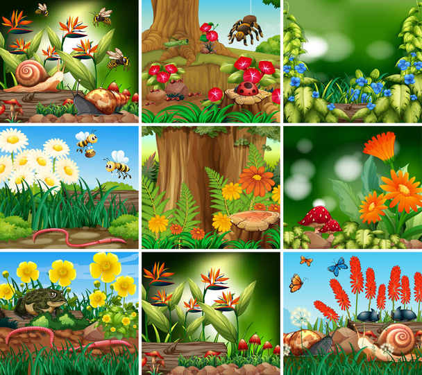 Set of background scene with nature theme - Vector, Image