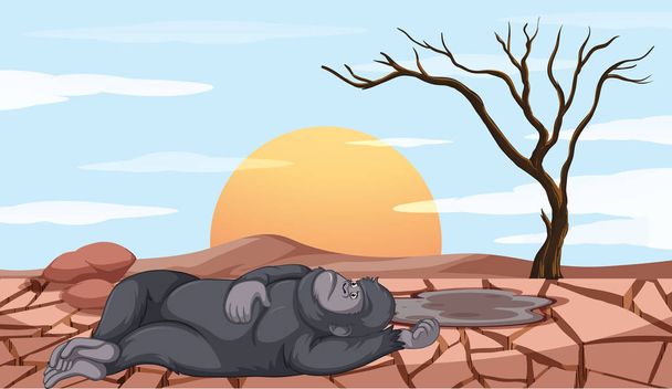 Scene with monkey dying in drought land - Vector, Image