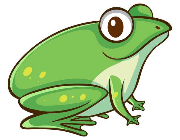 白い背景に緑のカエル - ベクター画像