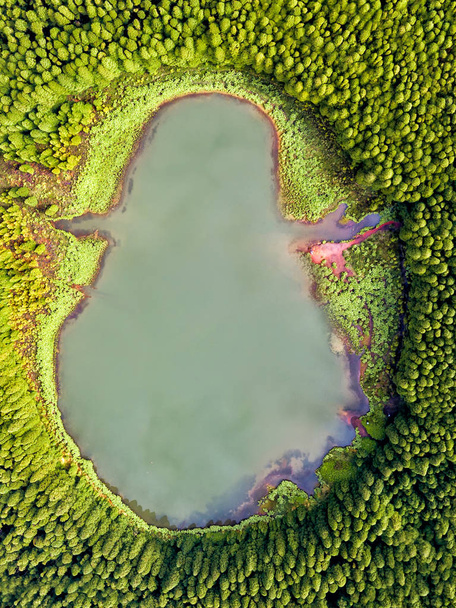 Krajobraz dronów w kształcie ducha. Z góry na dół widok z góry na mały staw w środku lasu, odbijający chmury na niebie. Widok na lagunę Kanaryjską na Azorach, Portugalia.  - Zdjęcie, obraz