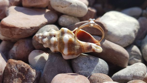 Anillo de boda de oro en una playa, guijarros, en una concha de mármol
 - Foto, Imagen