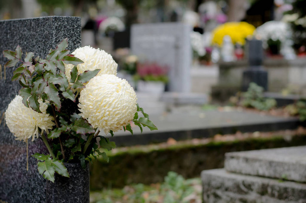 décoration florale sur la tombe lors de la Toussaint au cimetière - Photo, image