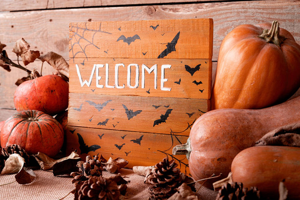 Welcome wooden sign with pile of pumpkins and pine cones - Photo, image