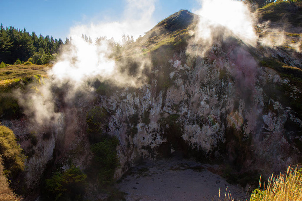 scenic view of Wairakei Thermal Valley, New Zealand - 写真・画像