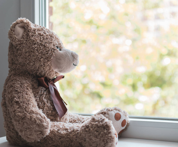 A brown teddy bear looking out through a window - Photo, Image