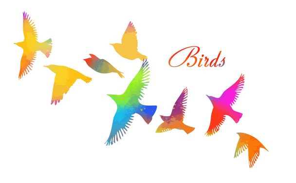 Πολύχρωμα πουλιά. Ένα σμήνος ιπτάμενων πουλιών με ουράνιο τόξο. Εικονογράφηση διανύσματος - Διάνυσμα, εικόνα