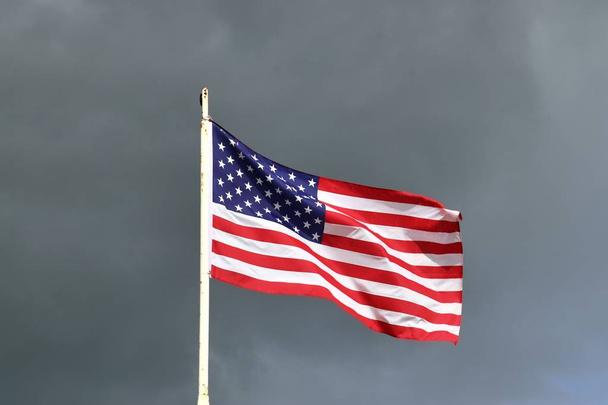 National flag of the united states of america in the wind - 写真・画像