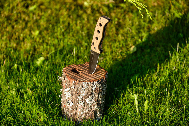 Folding knife on a stump on a background of grass - Zdjęcie, obraz